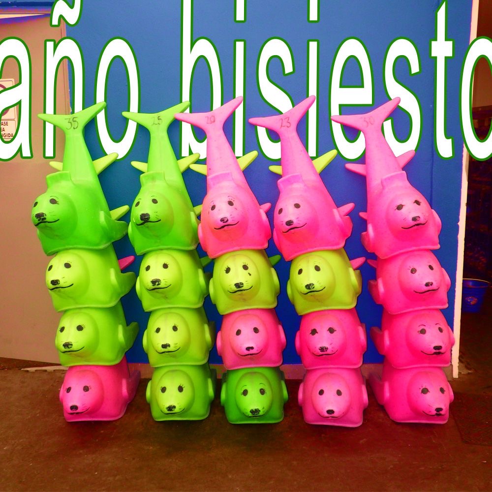 Imatge del programa ano-bisiesto